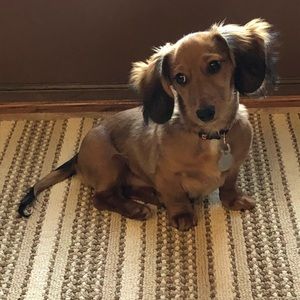 Meet your Posher, Helen